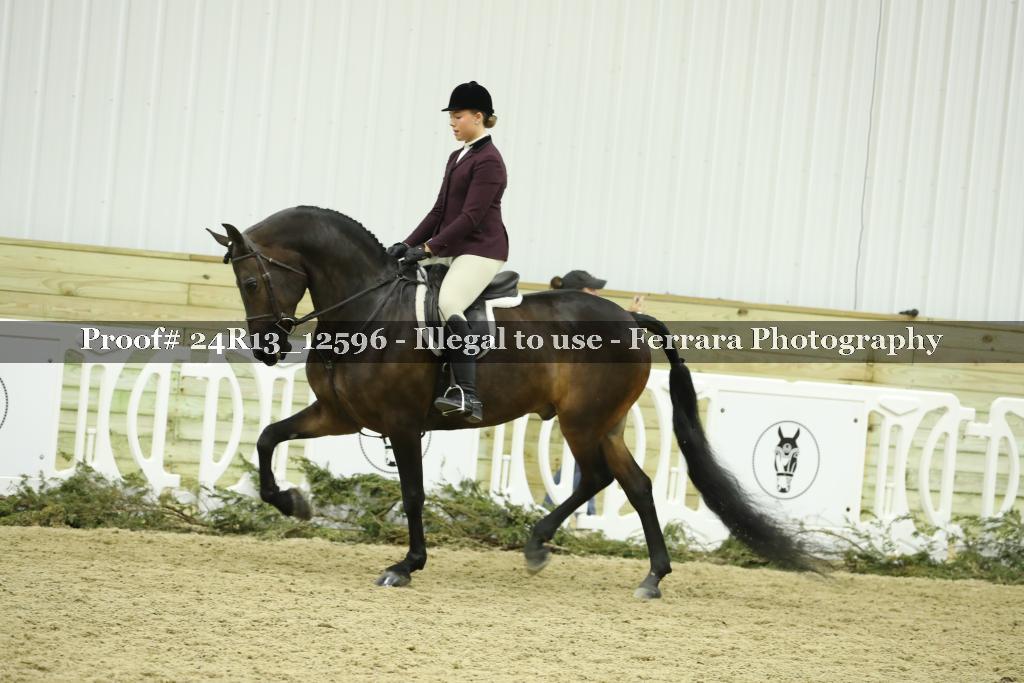 Proof 24R13_12596