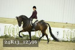 24R13_12596 proof