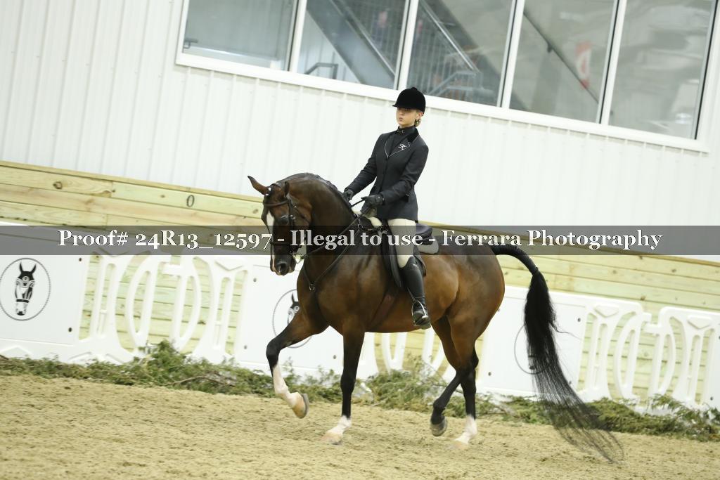 Proof 24R13_12597