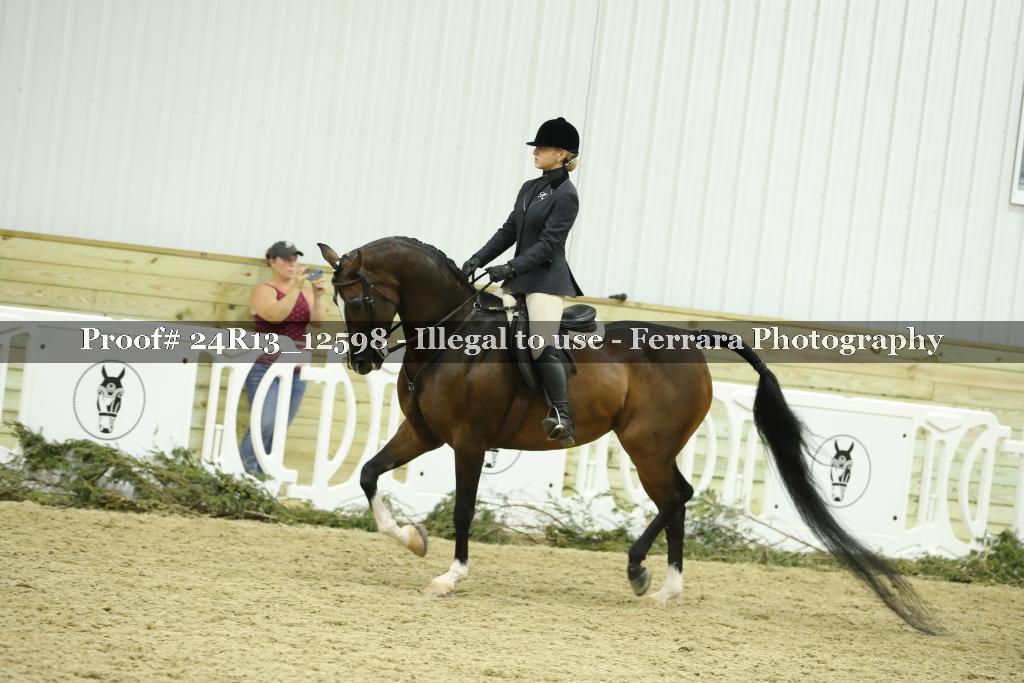 Proof 24R13_12598