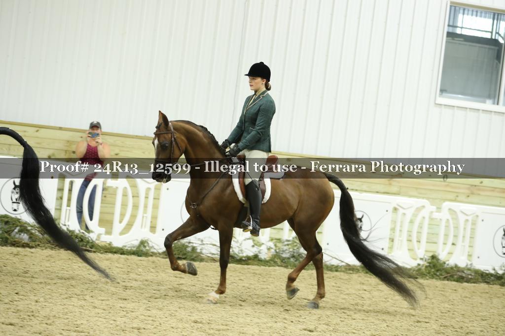 Proof 24R13_12599