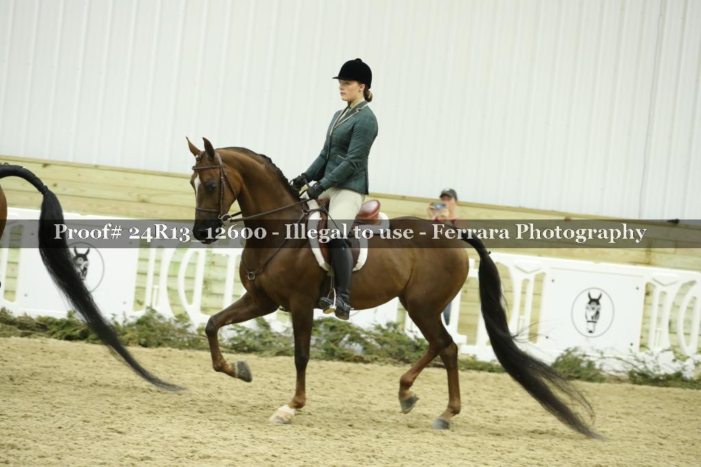 Proof 24R13_12600