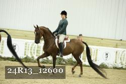 24R13_12600 proof