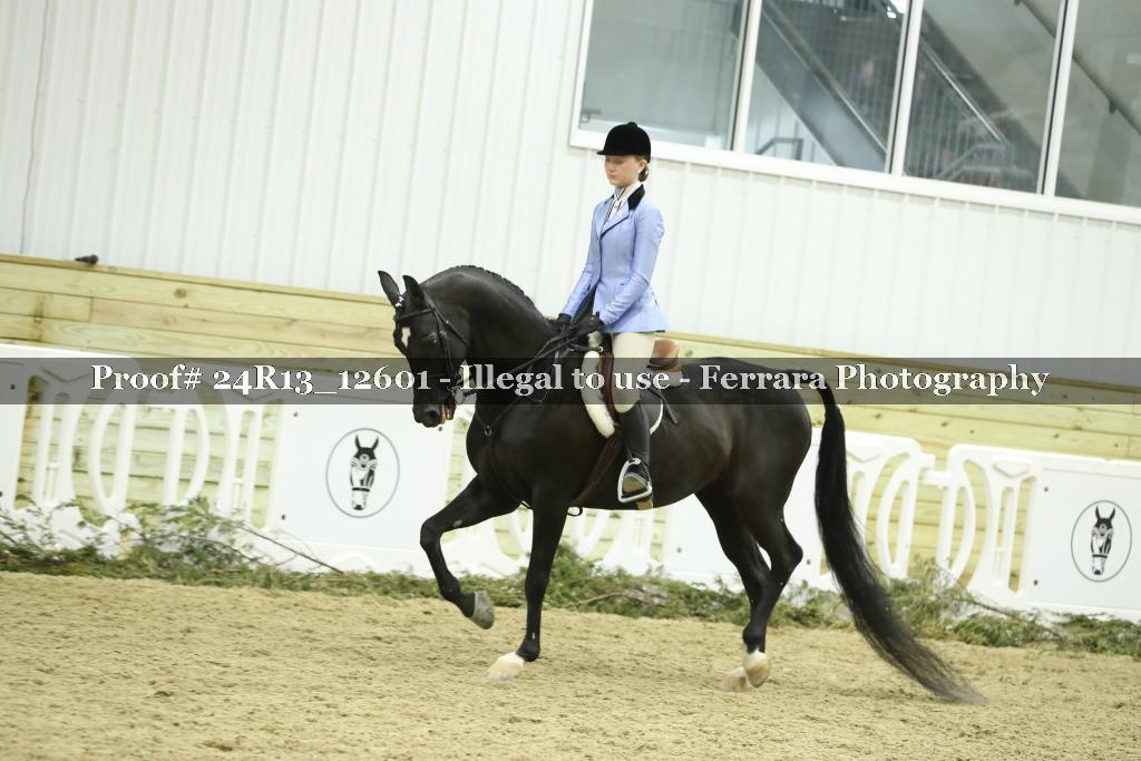 Proof 24R13_12601