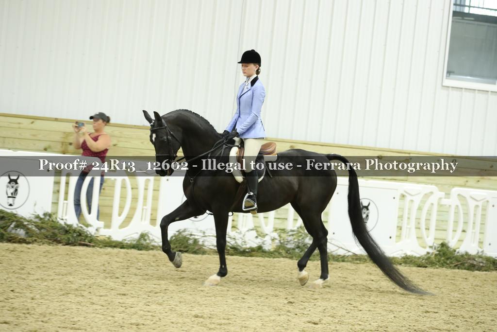 Proof 24R13_12602