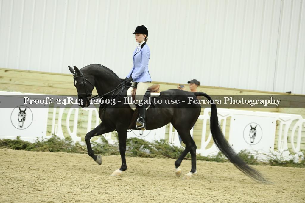 Proof 24R13_12603