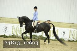 24R13_12603 proof