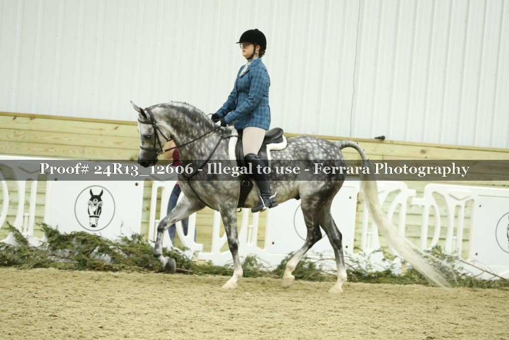 Proof 24R13_12606