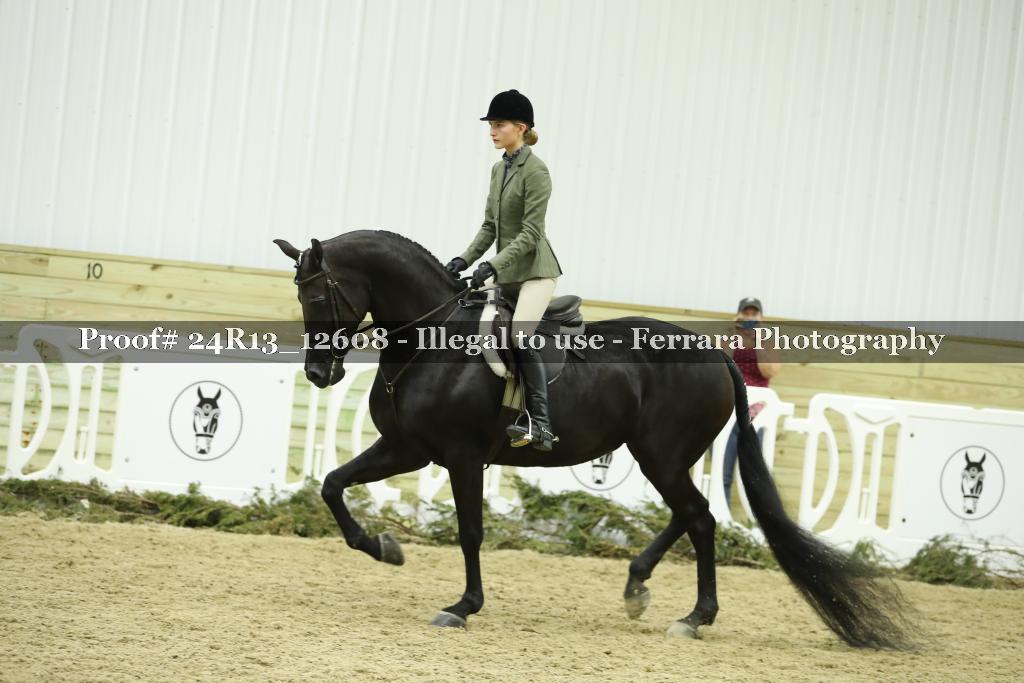Proof 24R13_12608