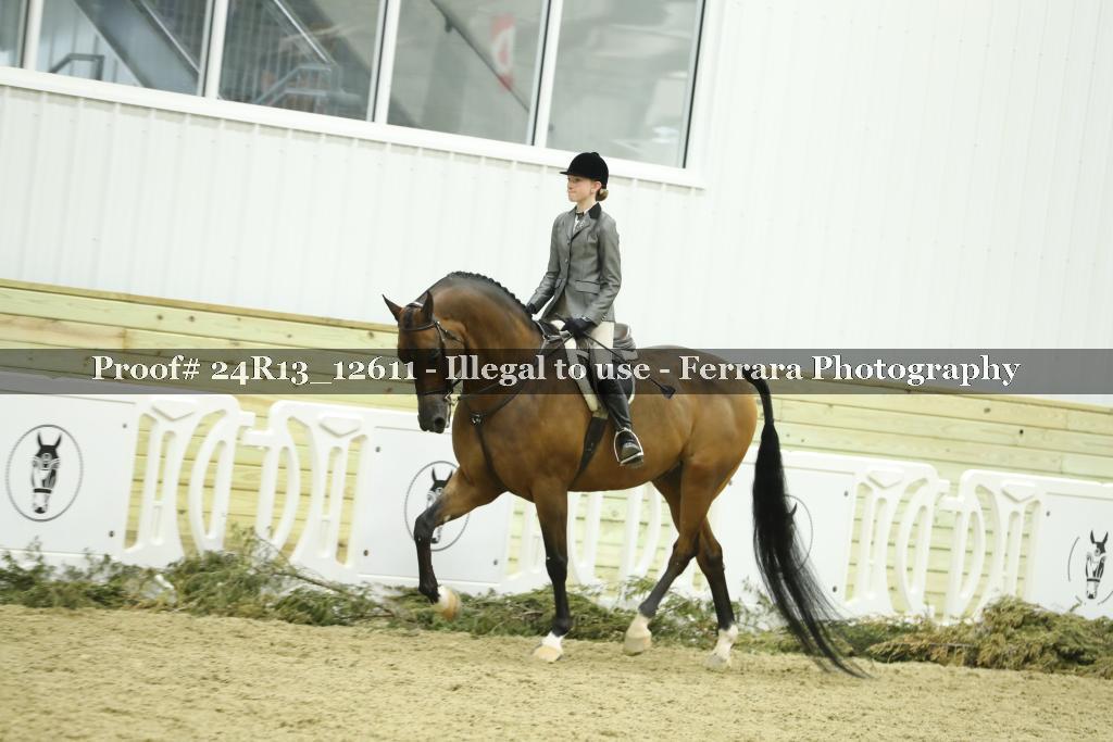 Proof 24R13_12611