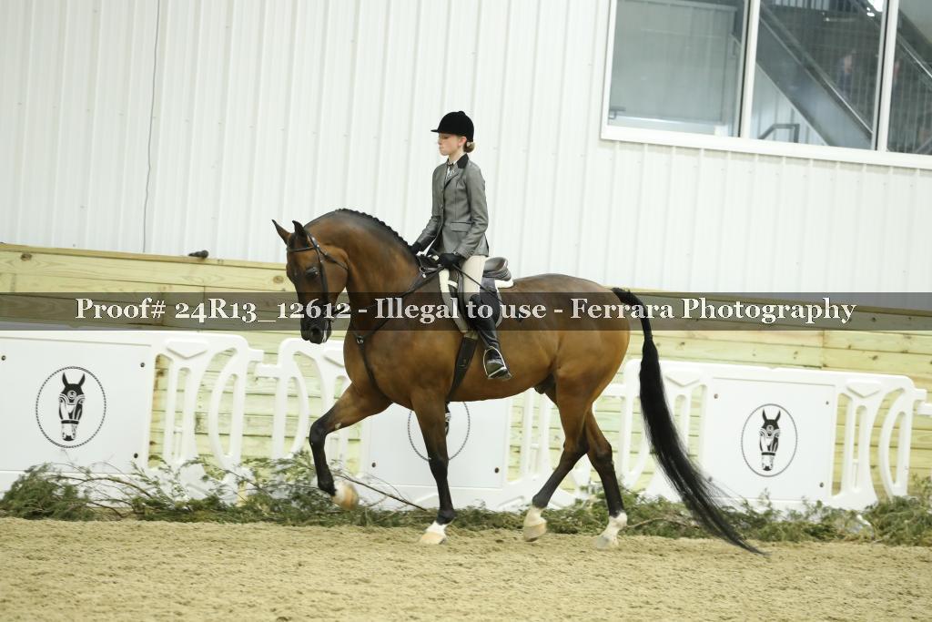 Proof 24R13_12612