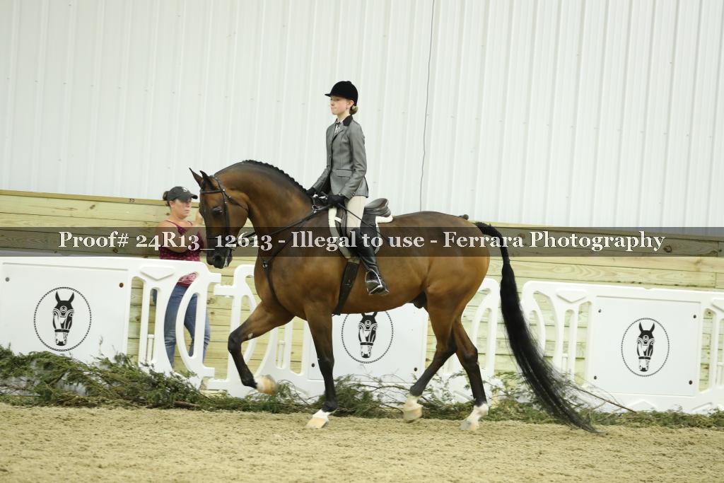 Proof 24R13_12613