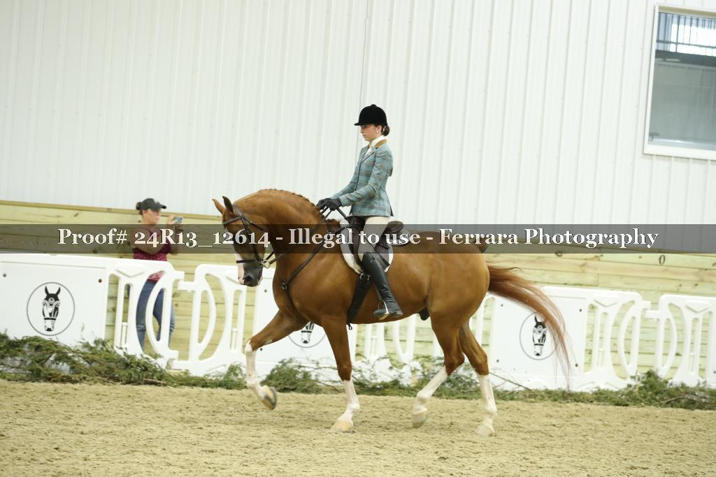 Proof 24R13_12614