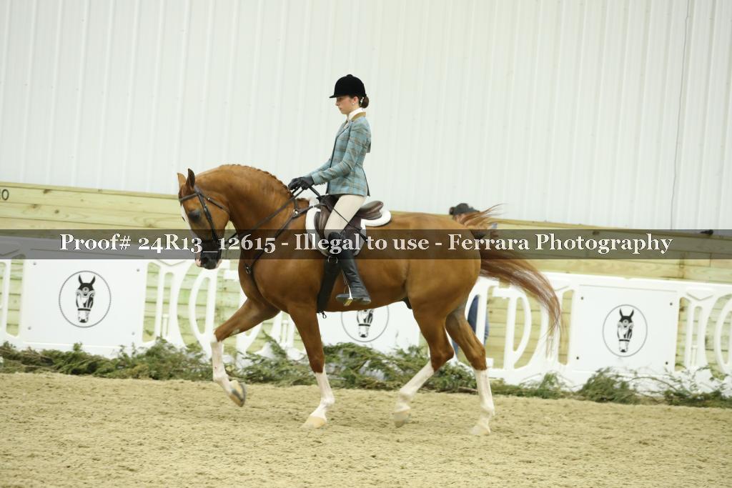 Proof 24R13_12615