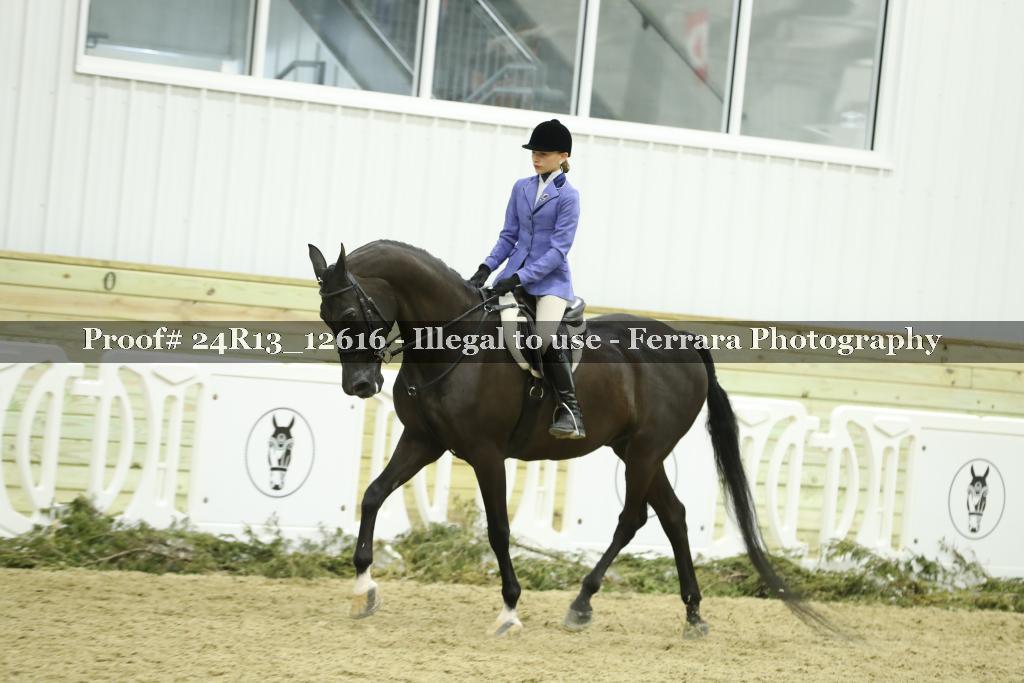Proof 24R13_12616