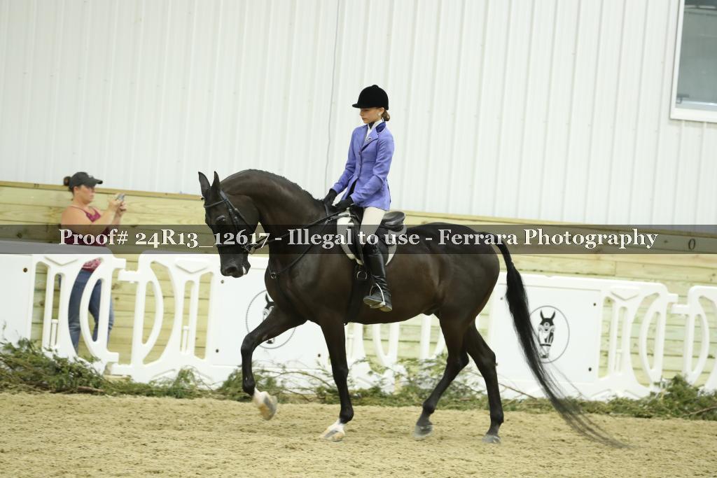 Proof 24R13_12617
