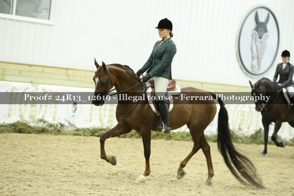Proof 24R13_12619