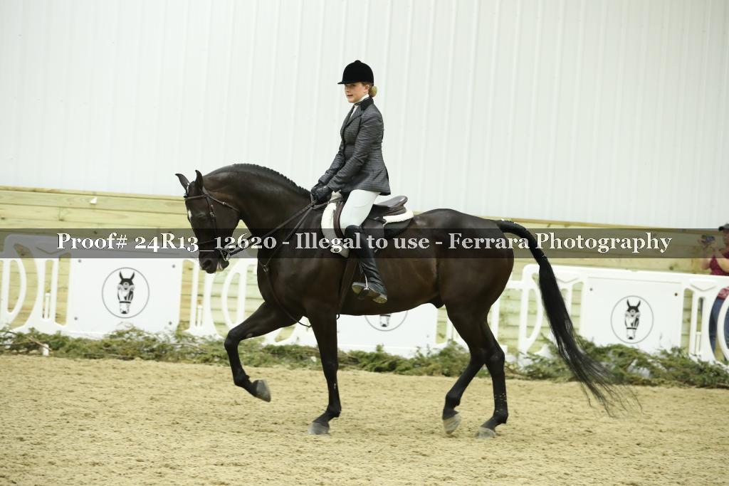 Proof 24R13_12620