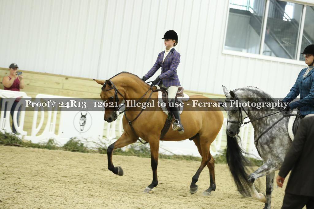 Proof 24R13_12621