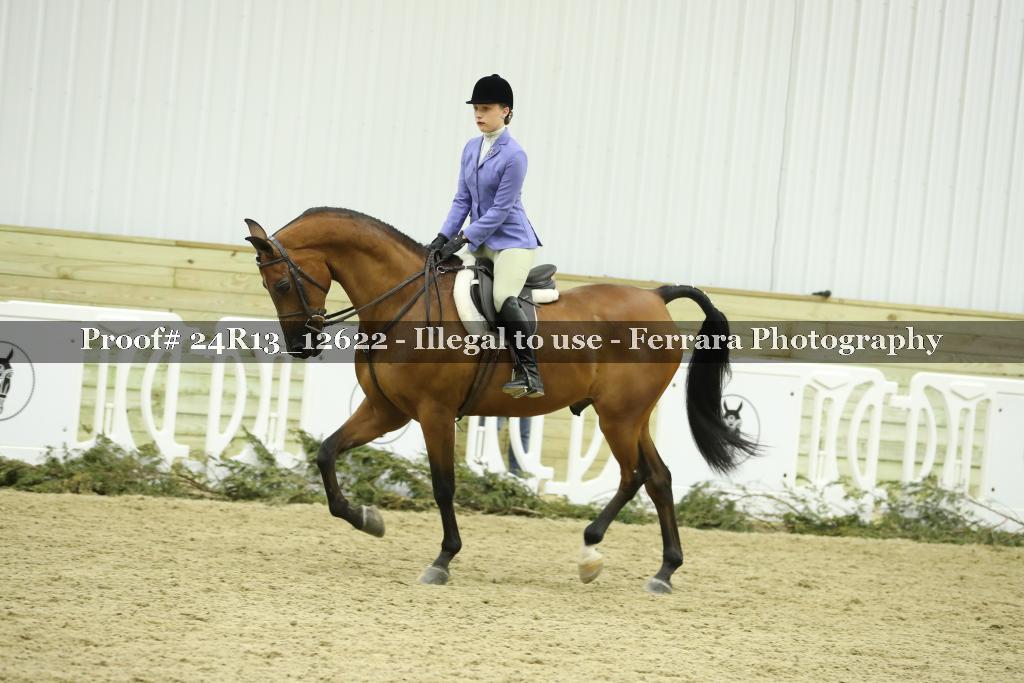 Proof 24R13_12622