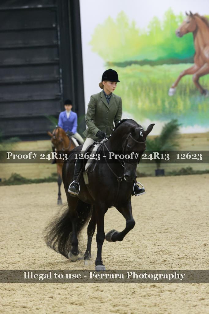Proof 24R13_12623