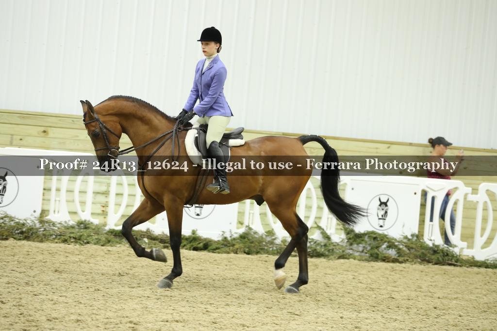 Proof 24R13_12624