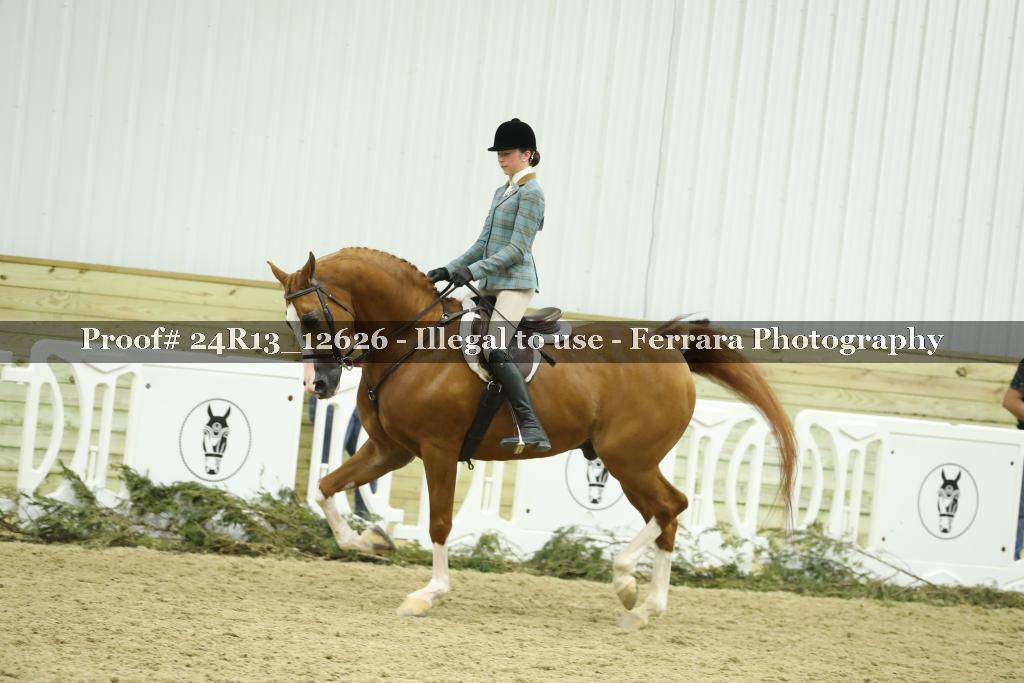 Proof 24R13_12626
