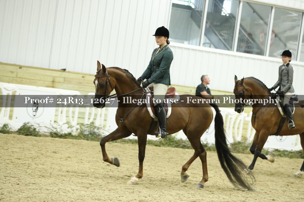 Proof 24R13_12627