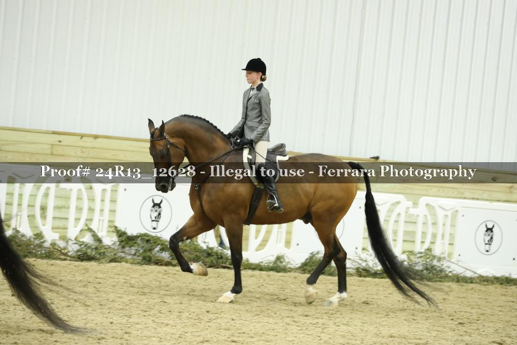 Proof 24R13_12628