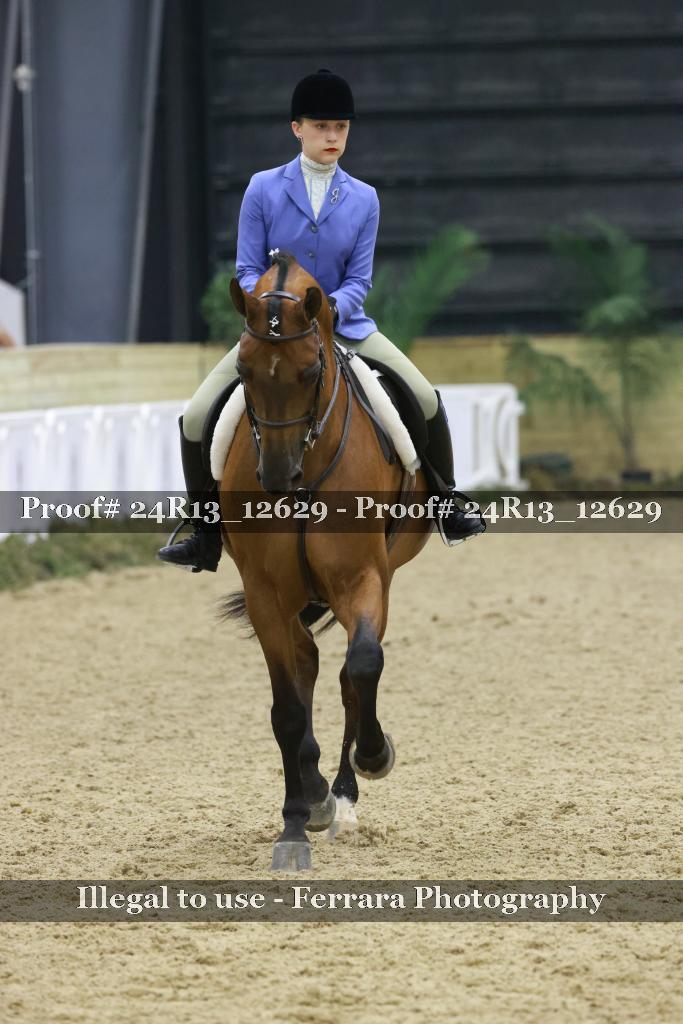 Proof 24R13_12629