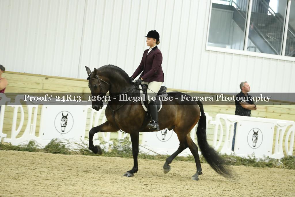 Proof 24R13_12631