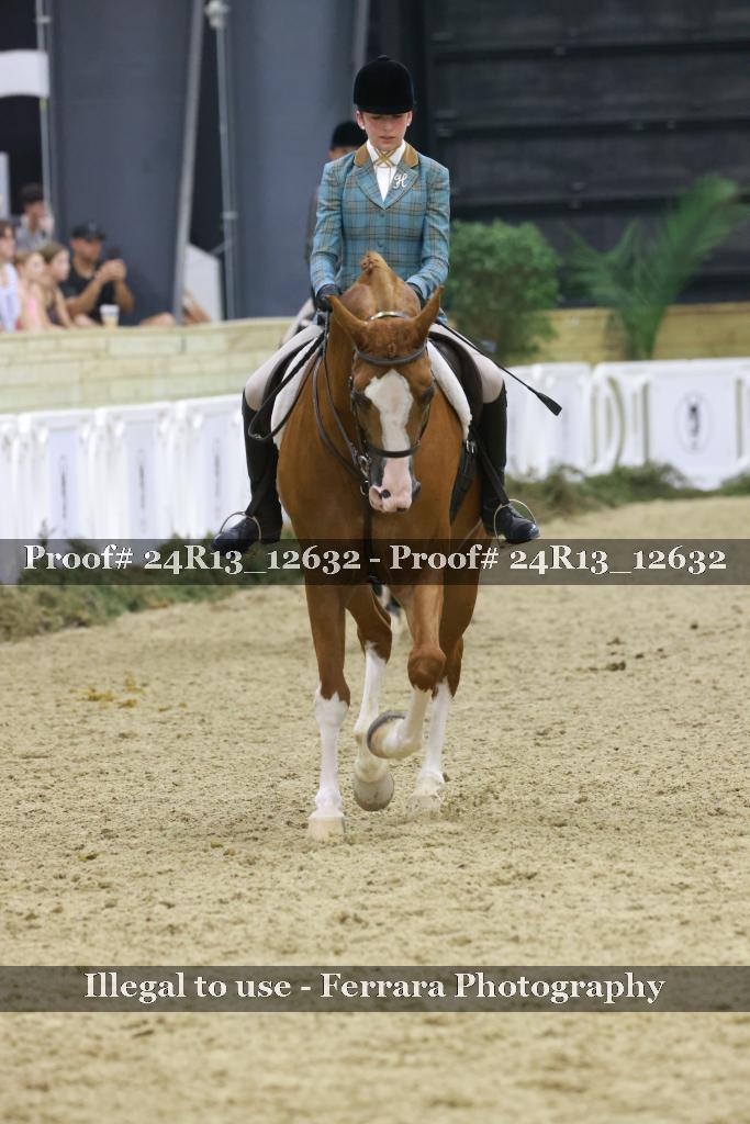 Proof 24R13_12632