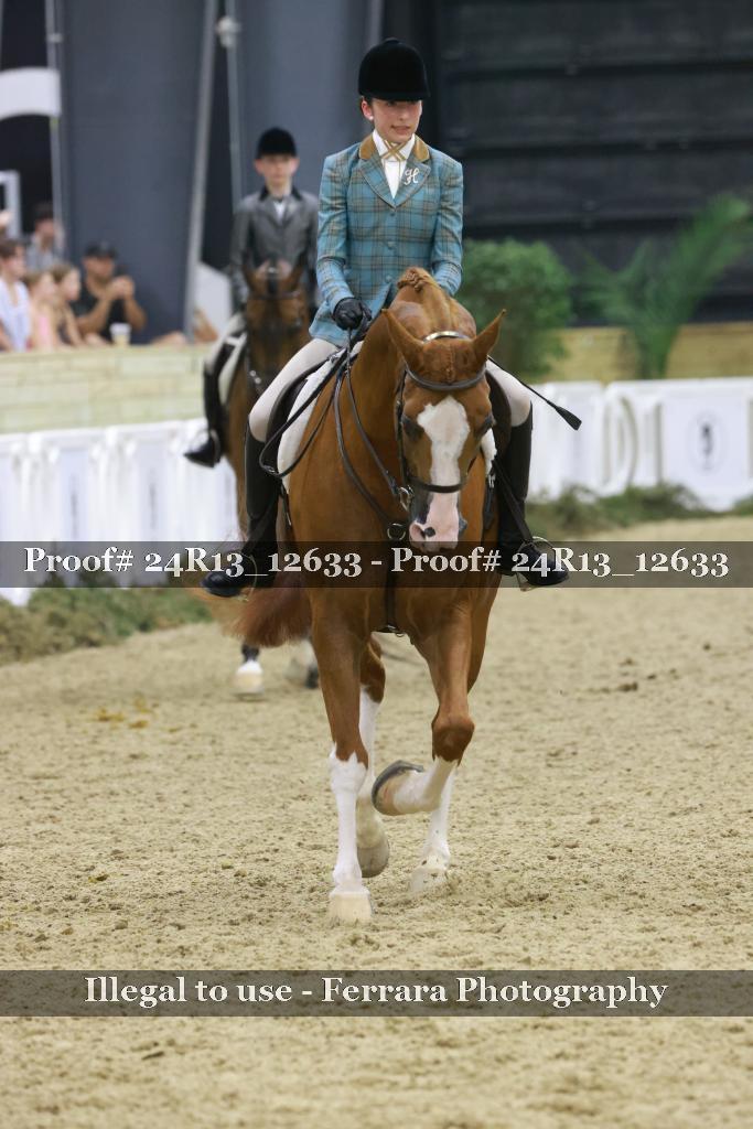 Proof 24R13_12633