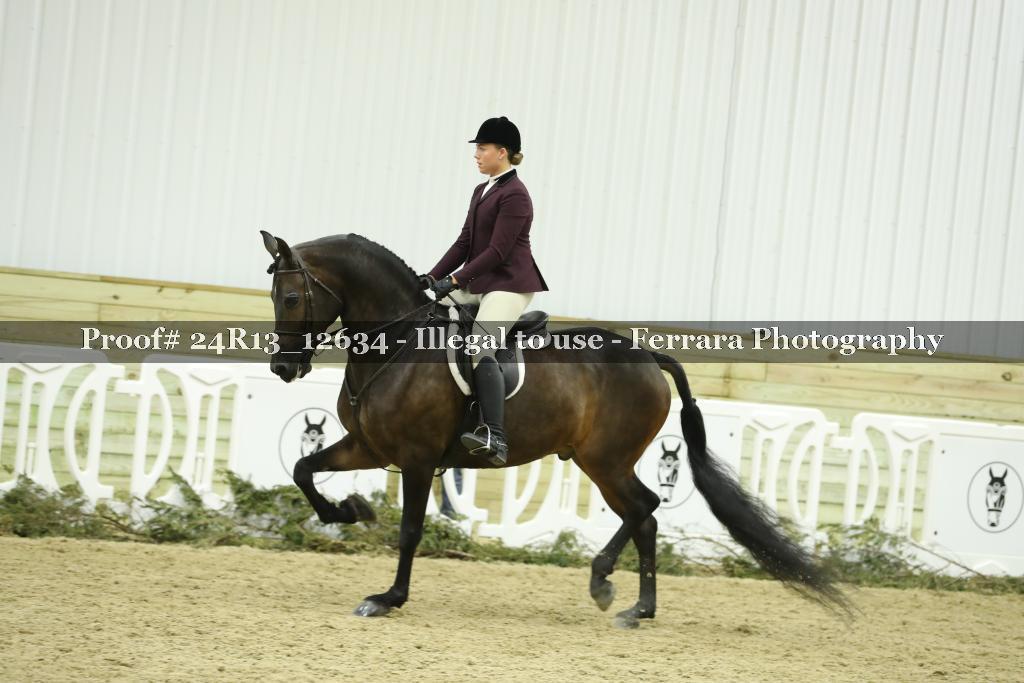 Proof 24R13_12634