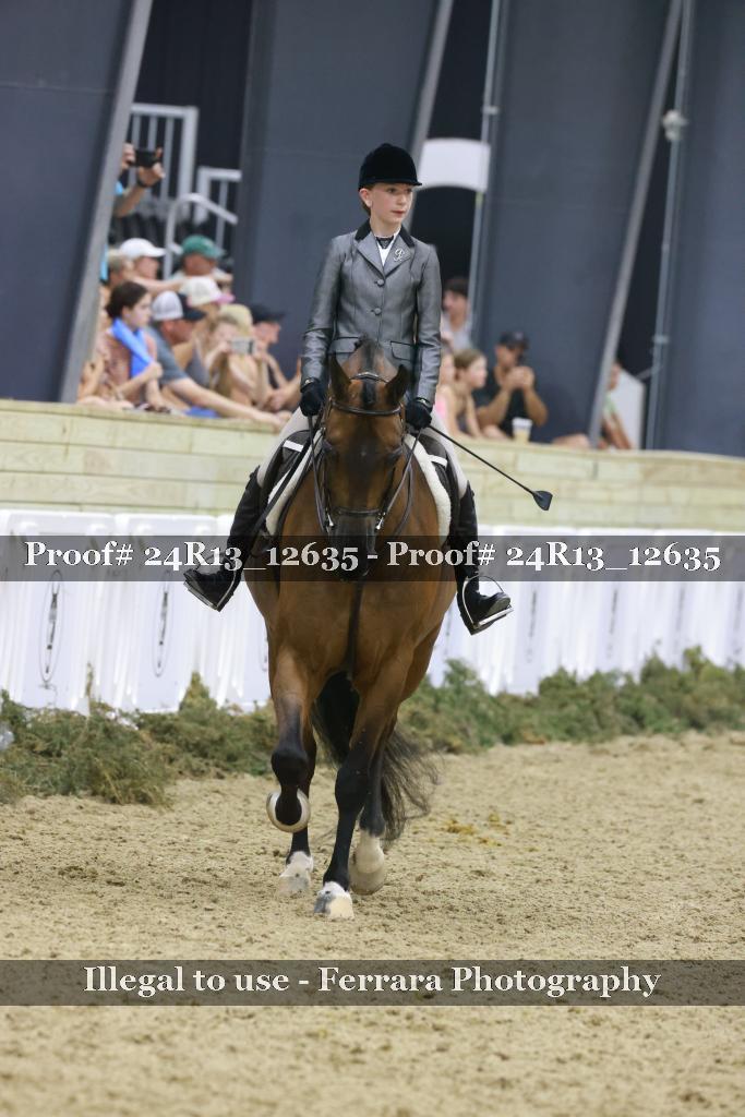 Proof 24R13_12635