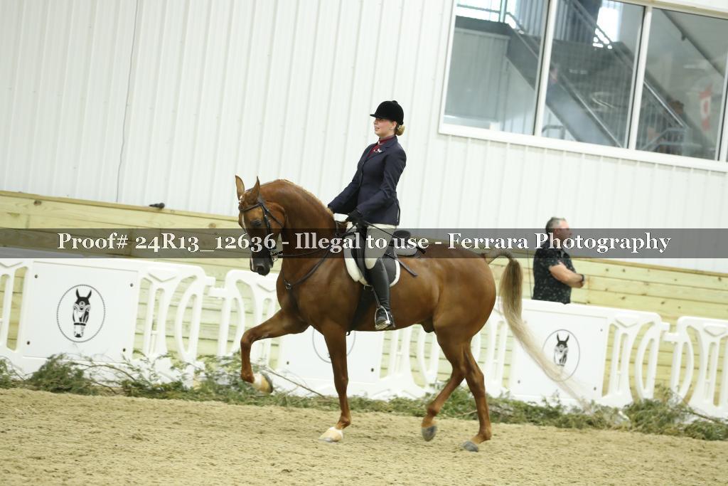 Proof 24R13_12636
