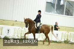 24R13_12636 proof