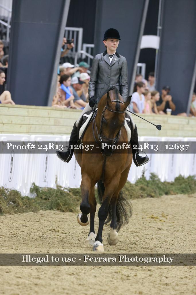 Proof 24R13_12637