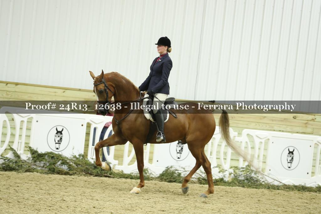 Proof 24R13_12638