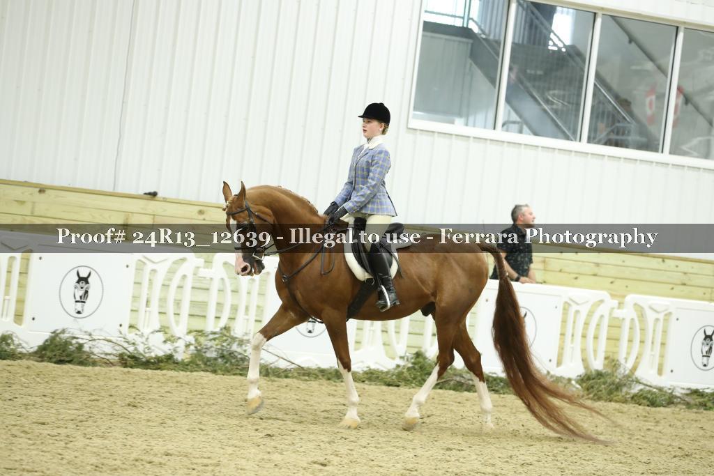 Proof 24R13_12639
