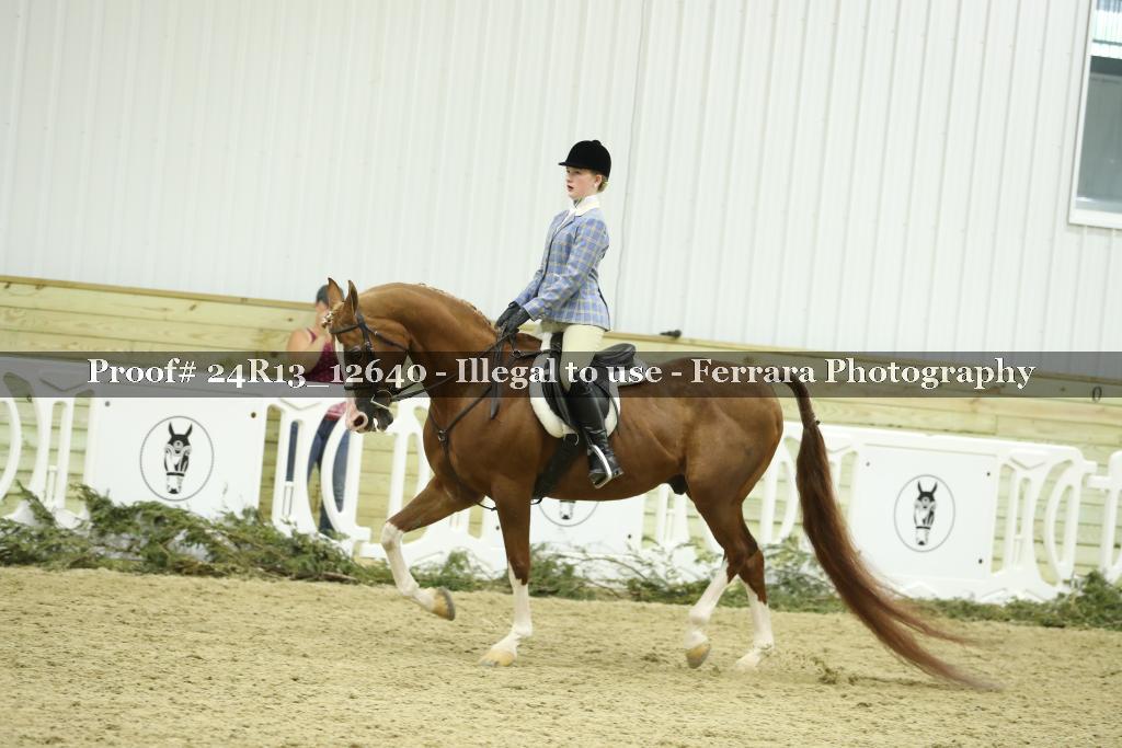 Proof 24R13_12640