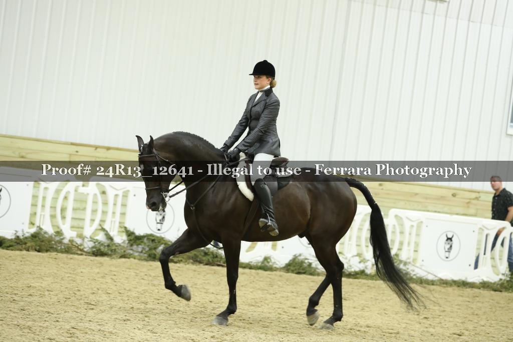 Proof 24R13_12641