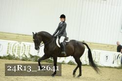 24R13_12641 proof