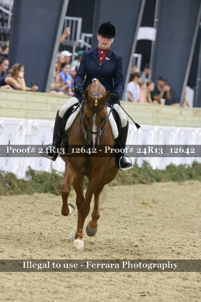 Proof 24R13_12642