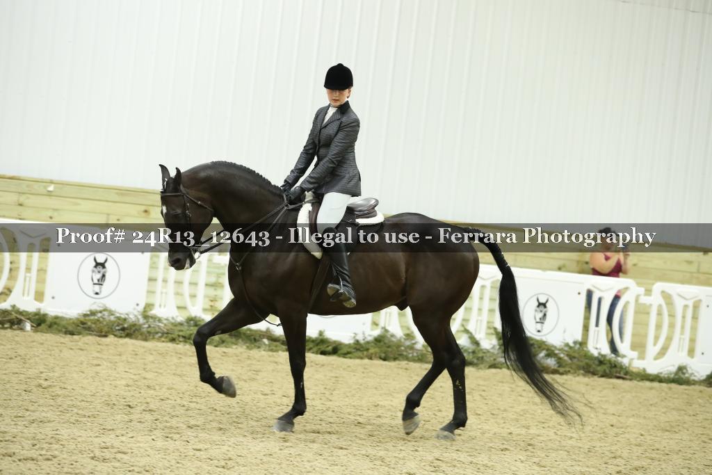 Proof 24R13_12643