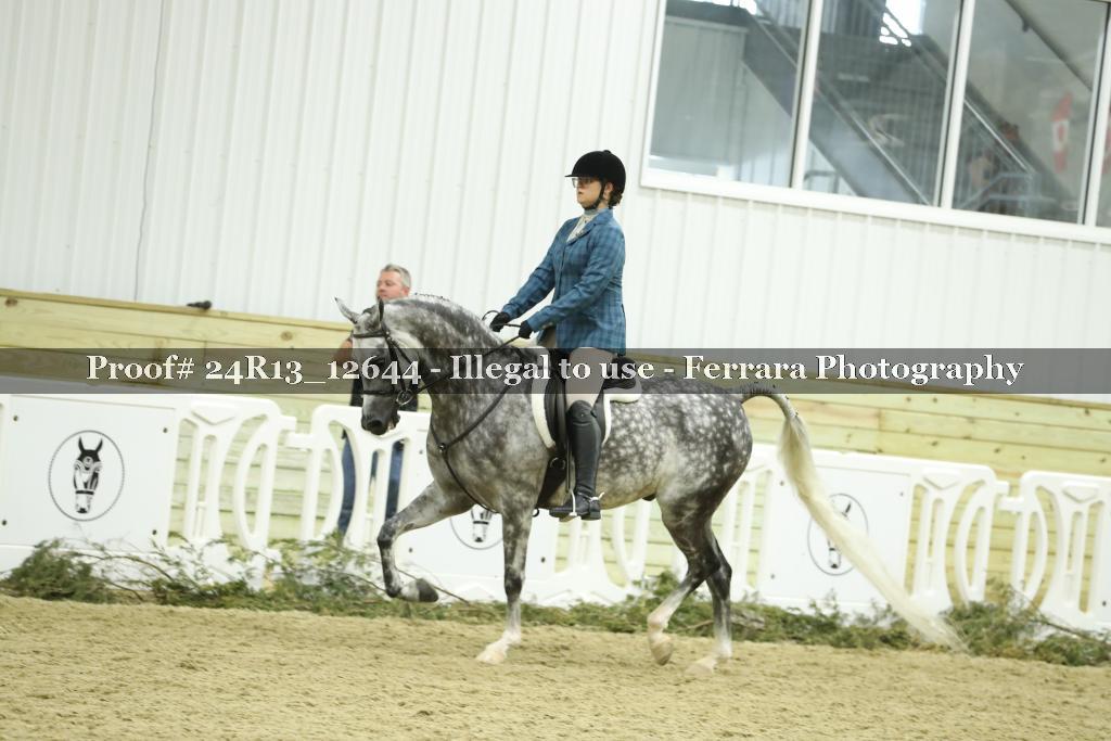 Proof 24R13_12644