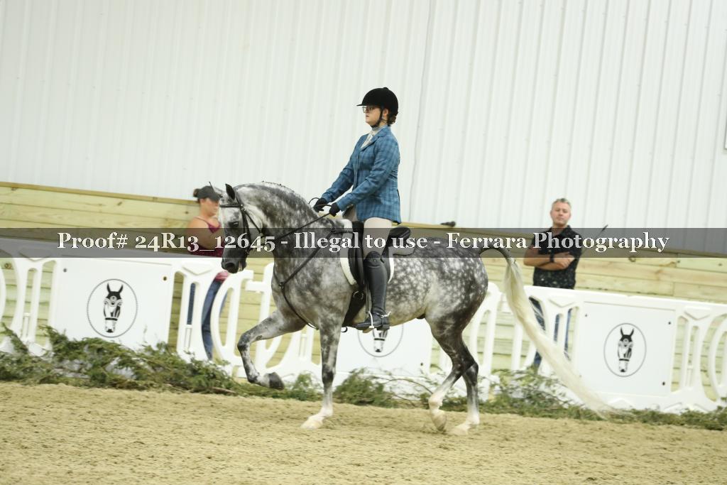 Proof 24R13_12645