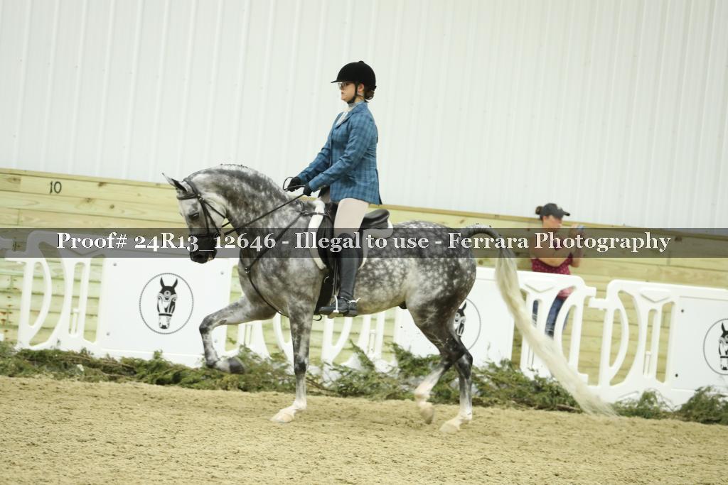 Proof 24R13_12646