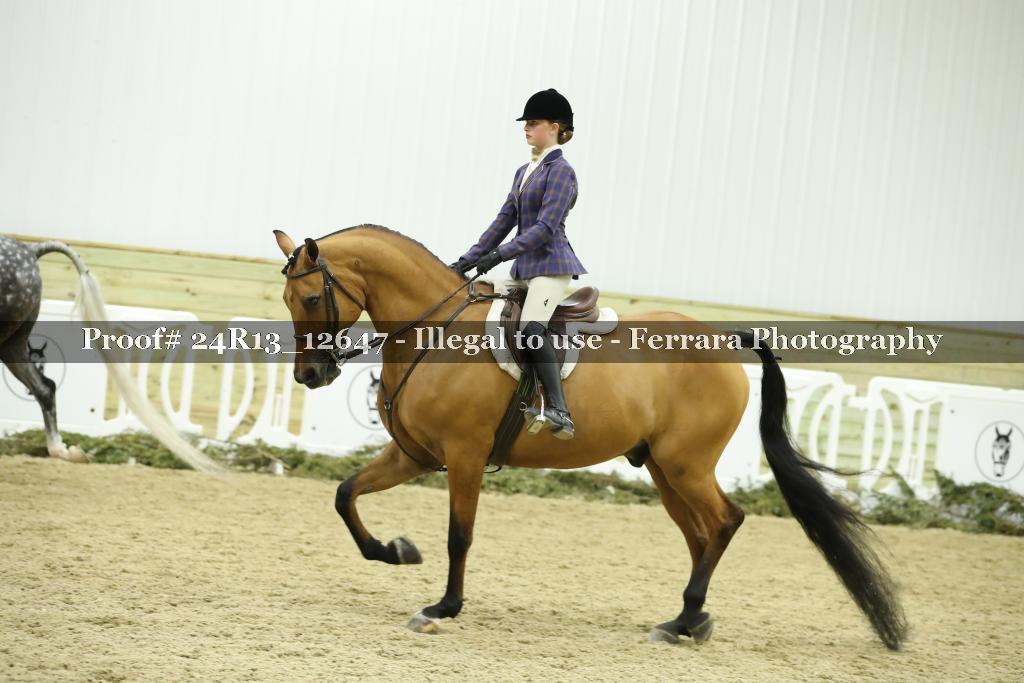 Proof 24R13_12647