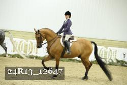 24R13_12647 proof